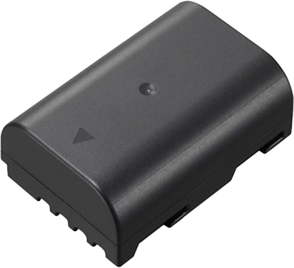 Panasonic s DMW-BLF19 | DMW-BLF19E |