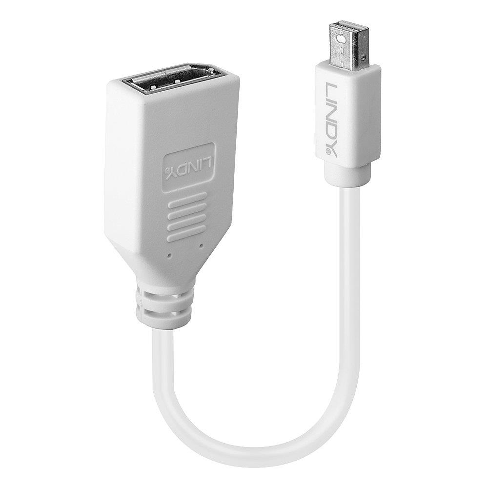 AV Lindy DisplayPort Mini - DisplayPort