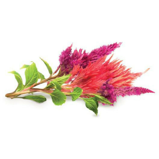 Click & Grow Smart Garden refill