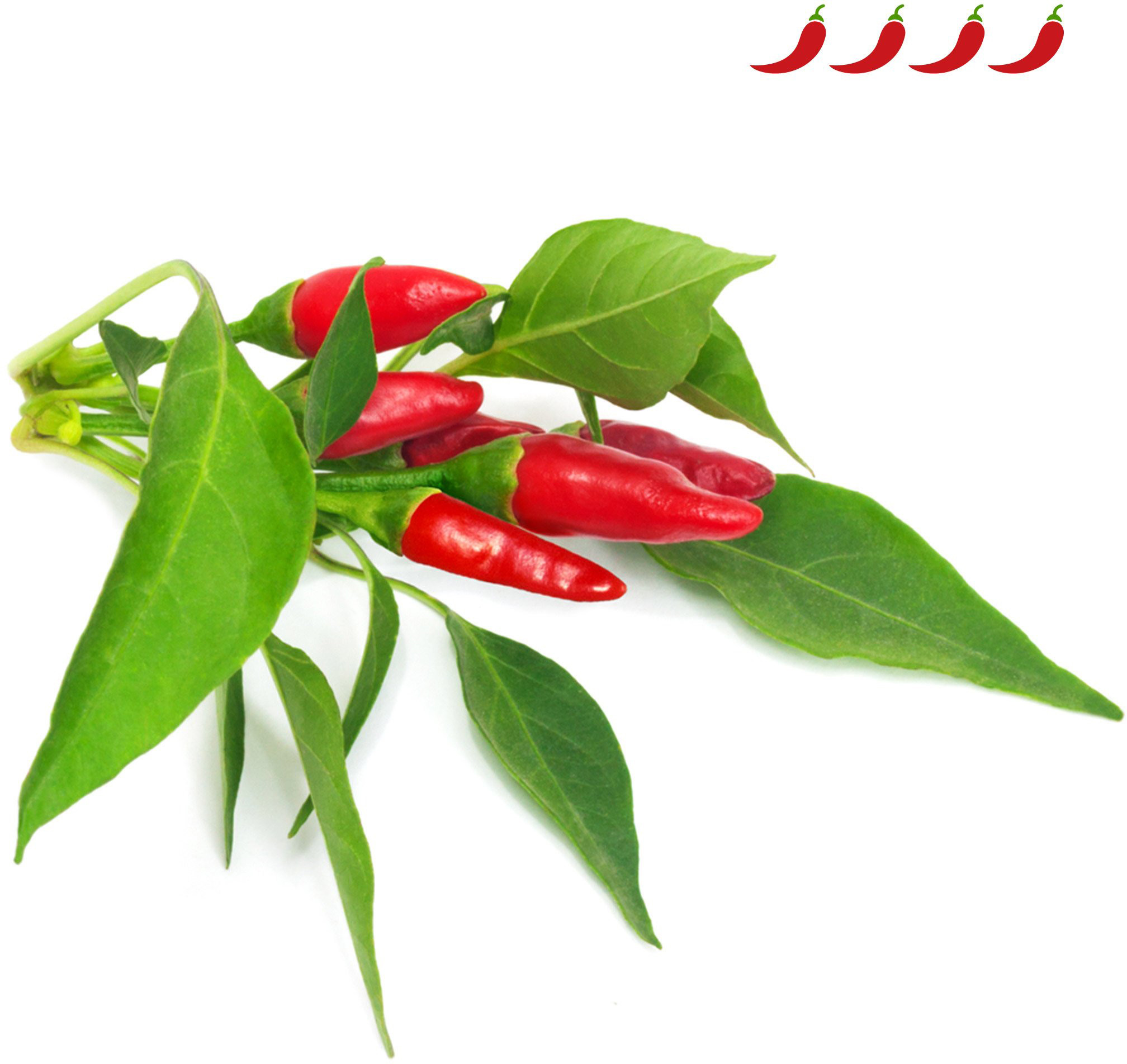 Click & Grow Smart Garden refill