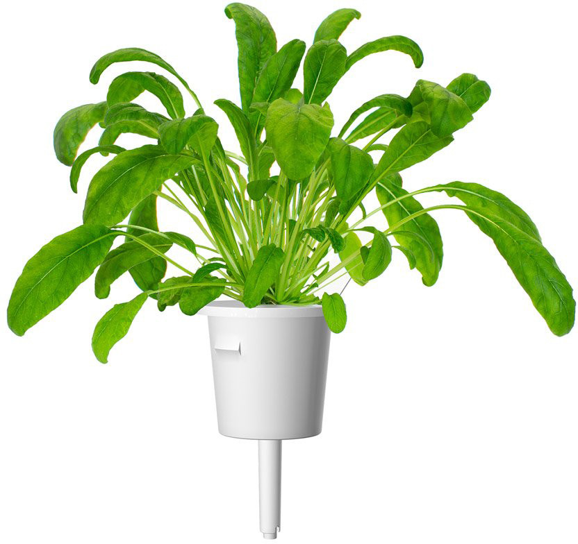 Click & Grow Smart Garden refill