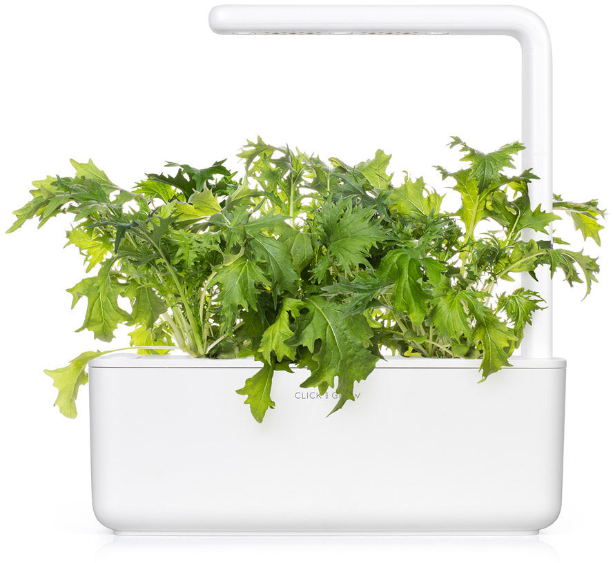 Click & Grow Smart Garden Refill