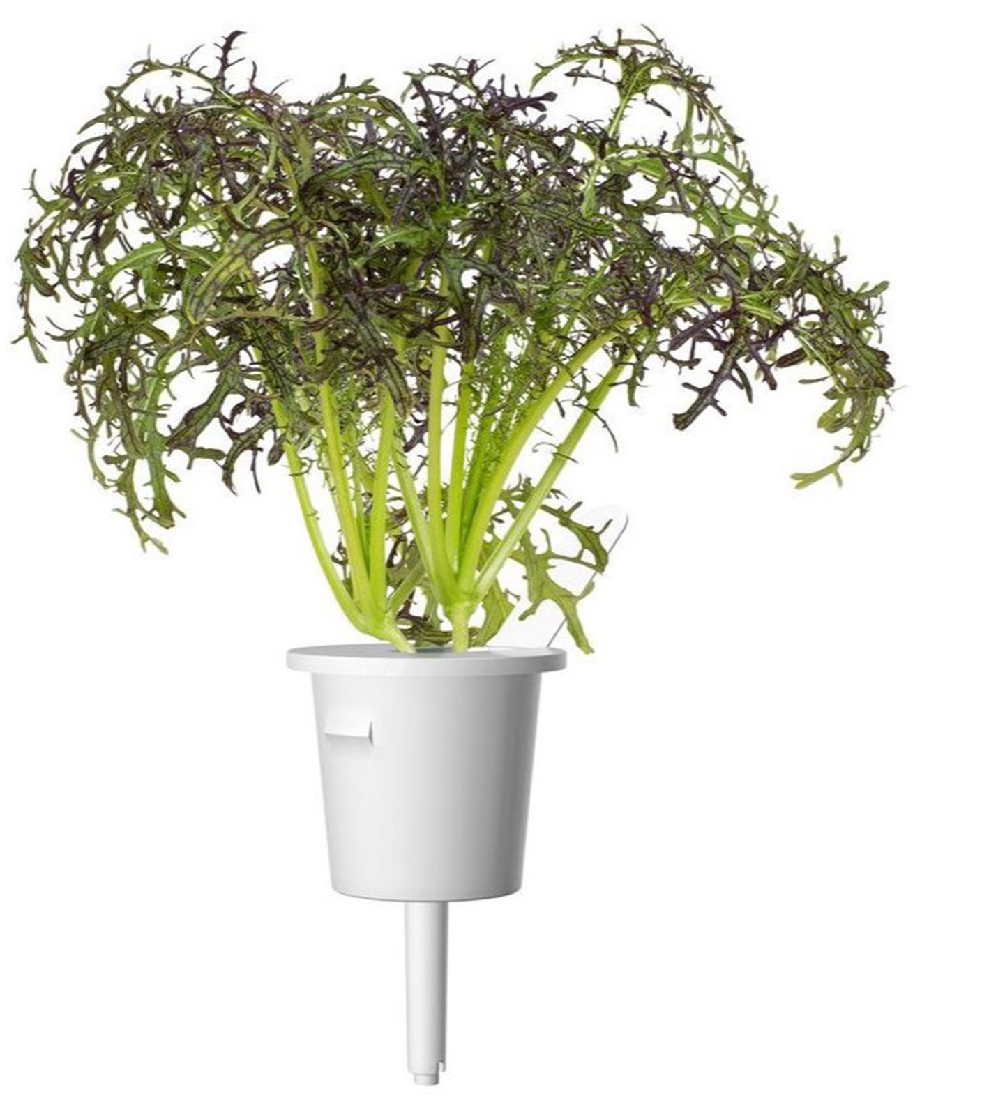 Click & Grow Smart Garden refill