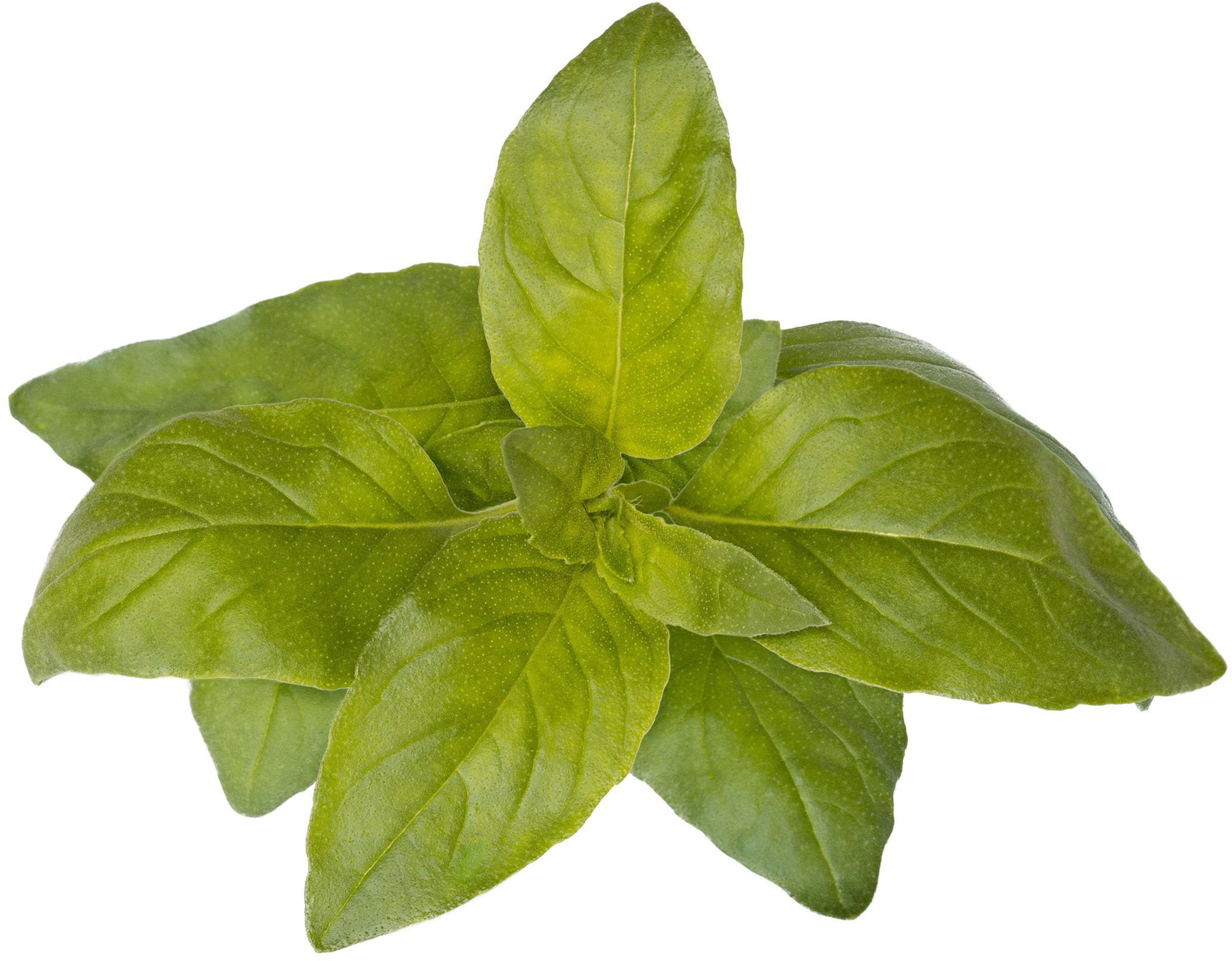 Click & Grow Smart Garden refill