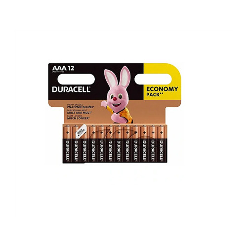 Duracell Basic AAA / R03 12