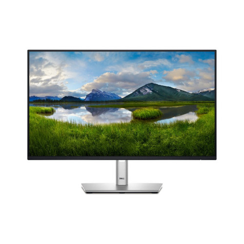 Monitor Dell Pro Plus P2425H (210-BMFF)