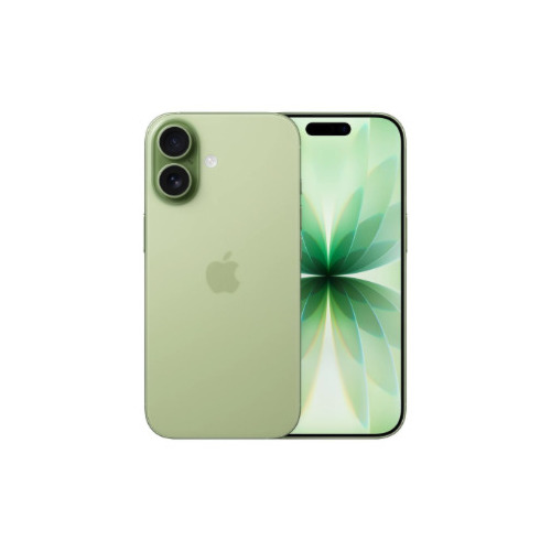 Apple iPhone 17 16 cm (6
