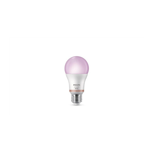 Philips Smart LED 100W A60 E27