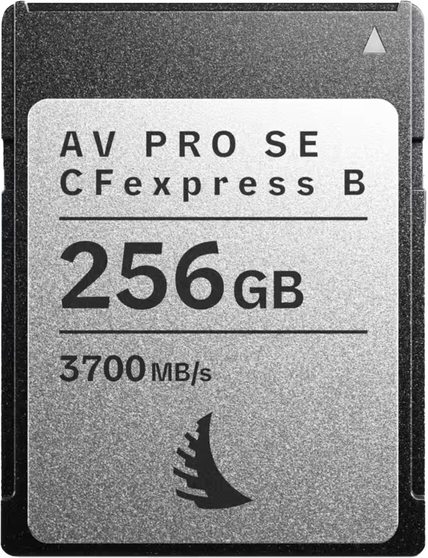 Karta Angelbird AV PRO CFexpress SE
