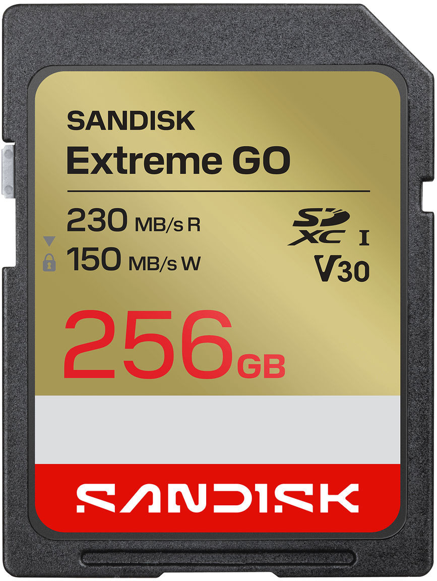 Karta SanDisk Extreme GO SDXC 256