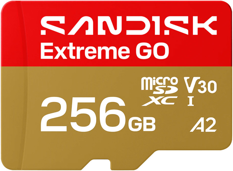Karta SanDisk Extreme GO MicroSDXC 256