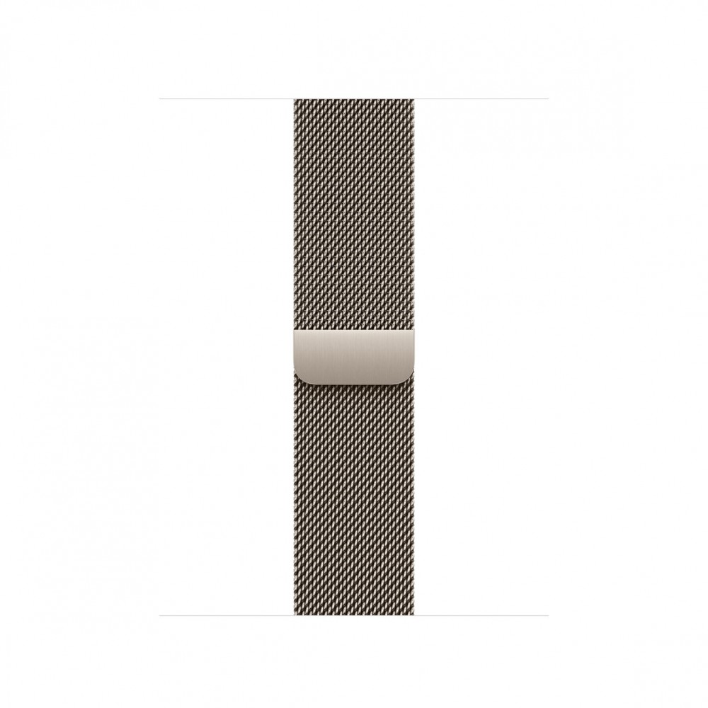 APPLE 42mm l Milanese Loop |