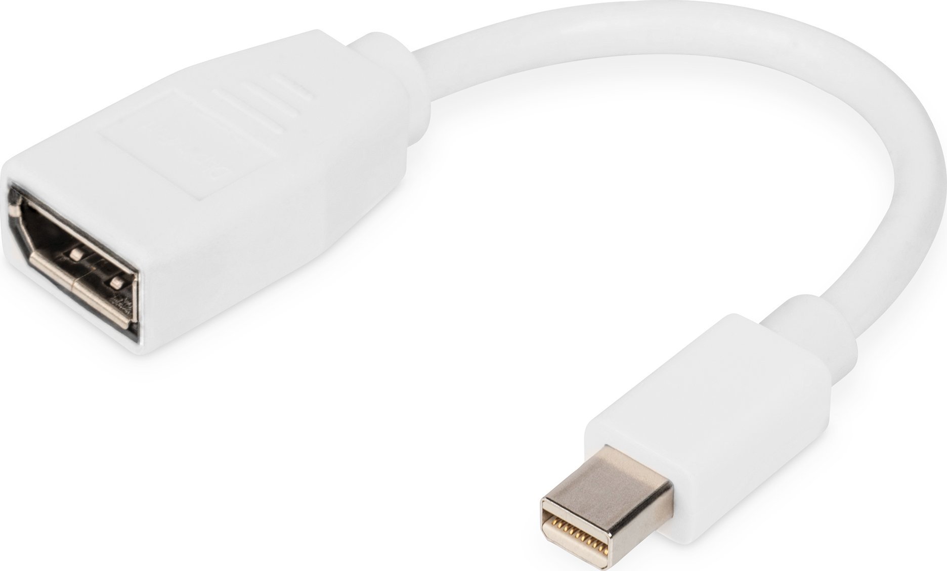 AV Digitus DIGITUS DisplayPort™  mini DP