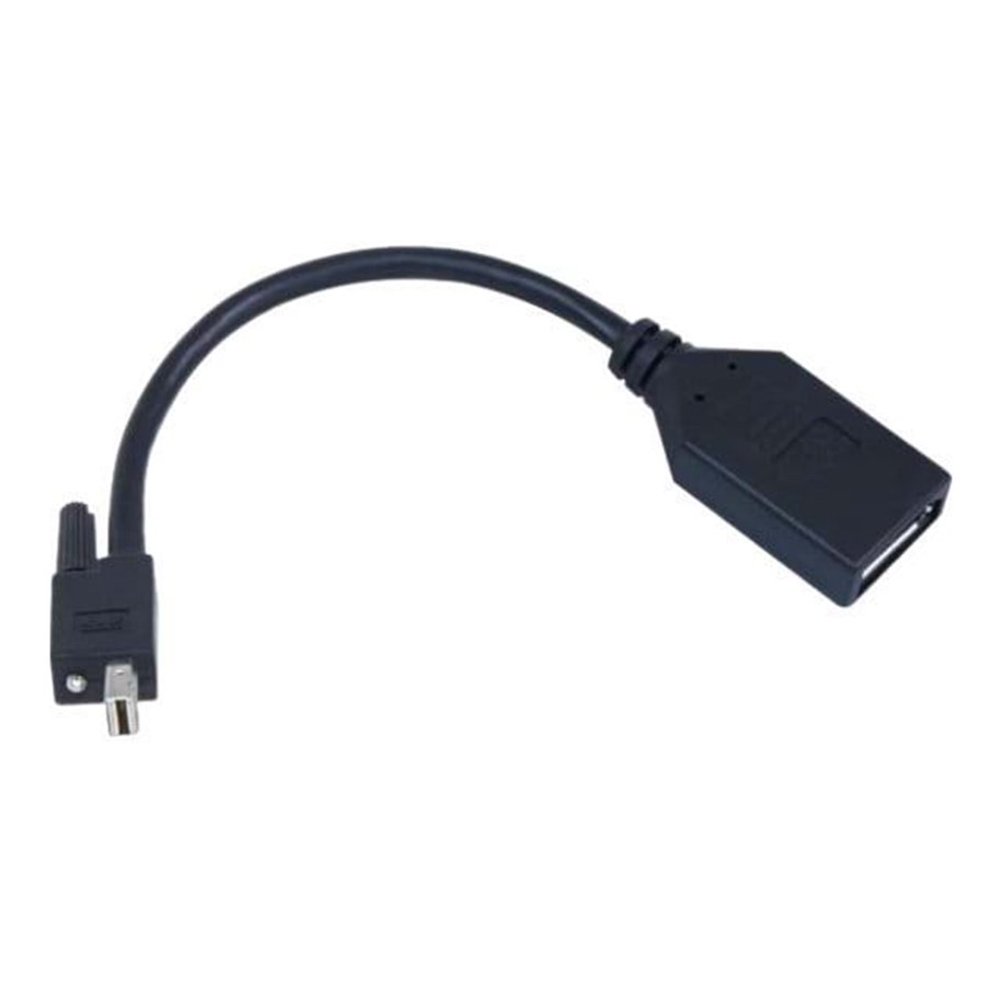AV Matrox DisplayPort Mini - D-Sub