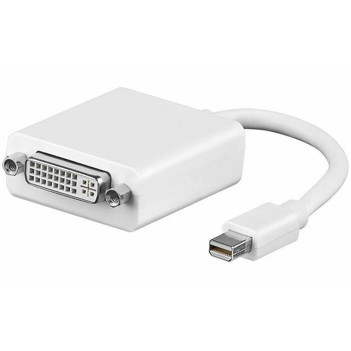 AV MicroConnect DisplayPort Mini - DVI-I
