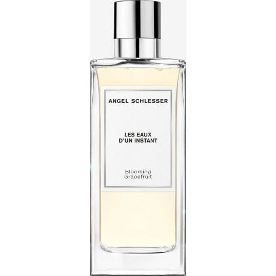 Angel Schlesser Les Eaux D`Un Instant
