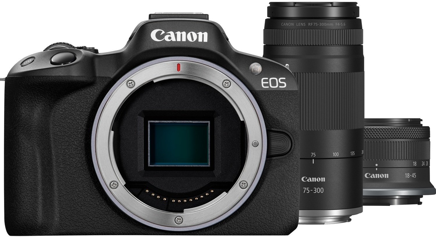 Canon EOS R50 + RF-S 18-45mm