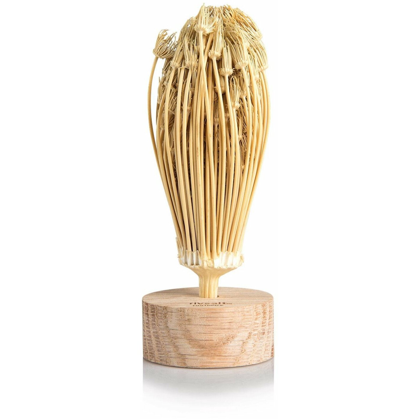 Bayer Rivsalt™ TOOTHPICK | 140900 |