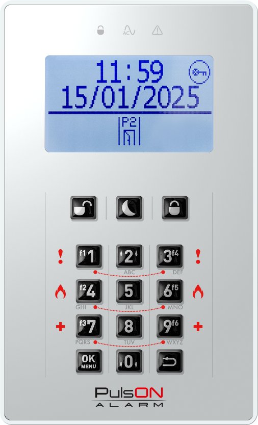 BCS PULSON Front LCD/C GRL (11395)