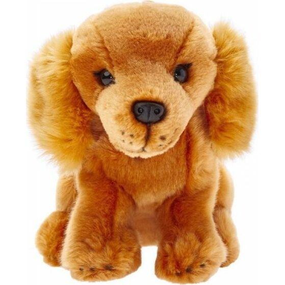 Beppe  Cocker spaniel  20 cm |