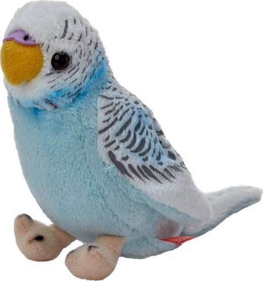 Beppe   13cm  13729 17727 | 13729