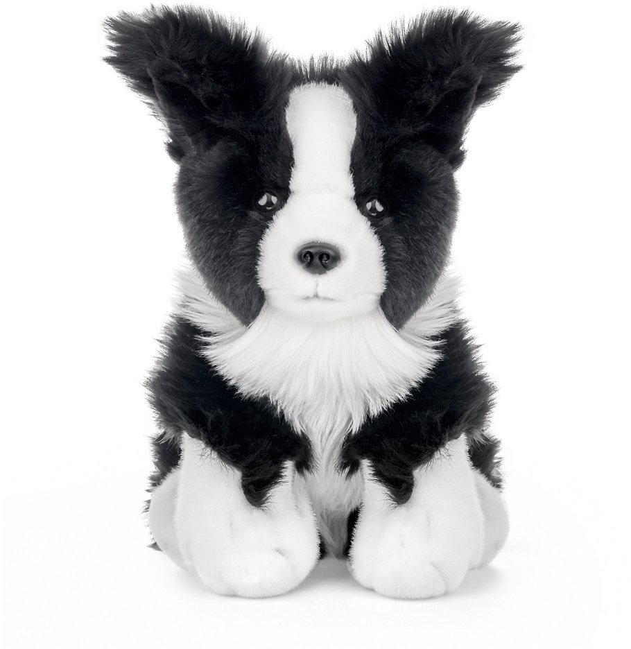 Beppe border collie 23cm 14284 25029