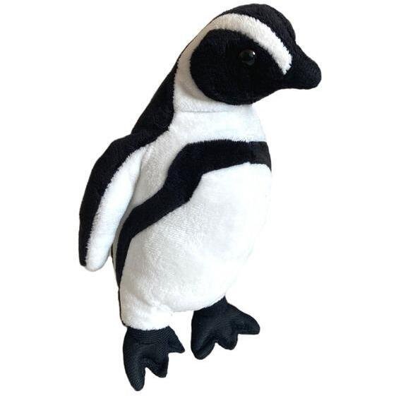 Beppe peruwiański Humboldta 23cm | 5901703120987