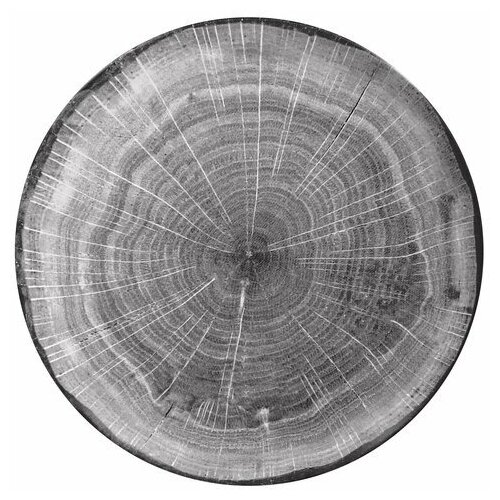 Bigbuy Home Woodart 24 cm |