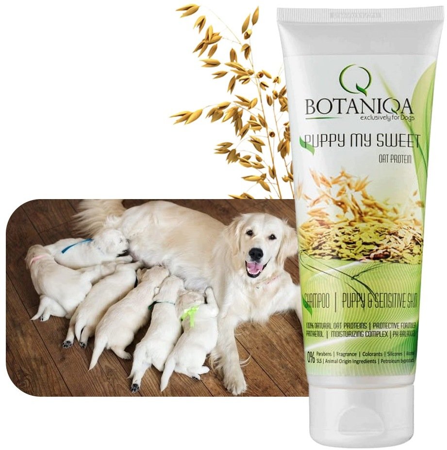 Botaniqa BOTANIQA BY AGA PLUTA Puppy
