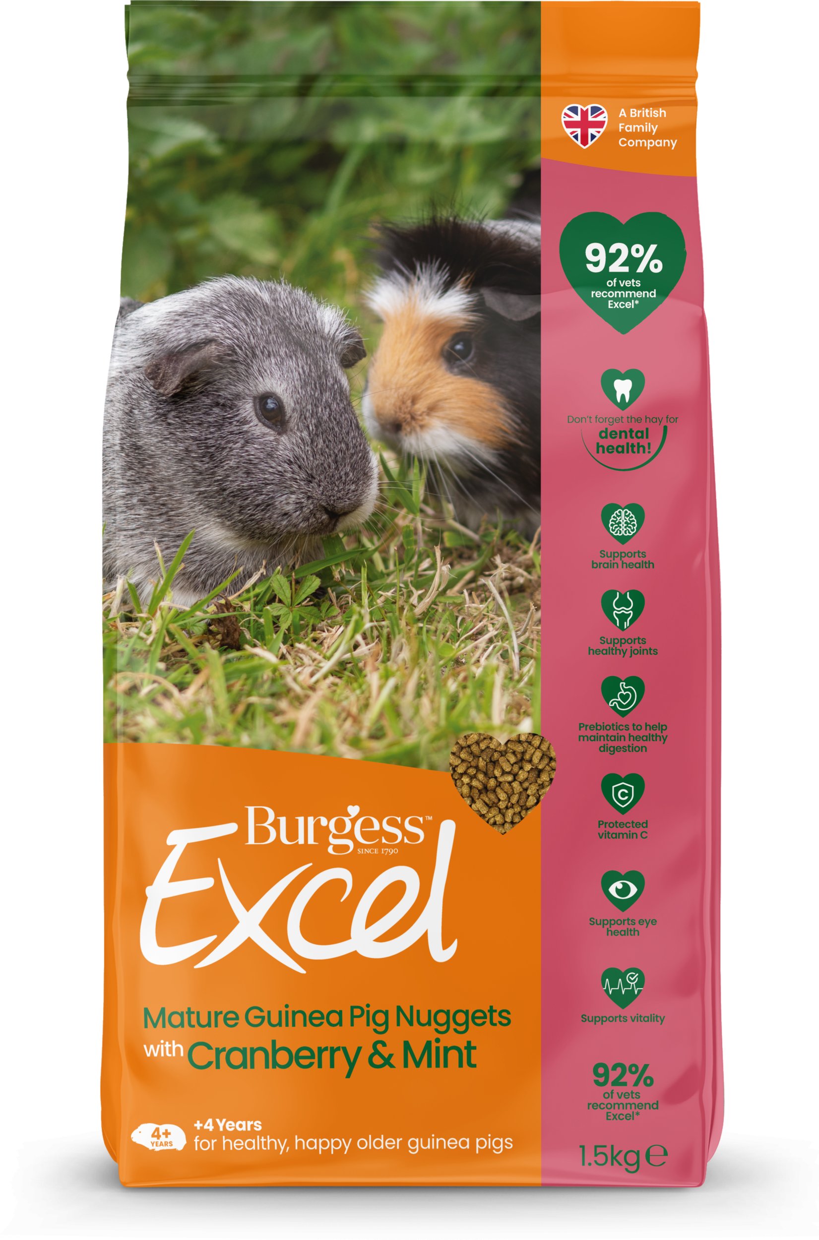 Burgess Burgess Excel Mature Guinea Pig