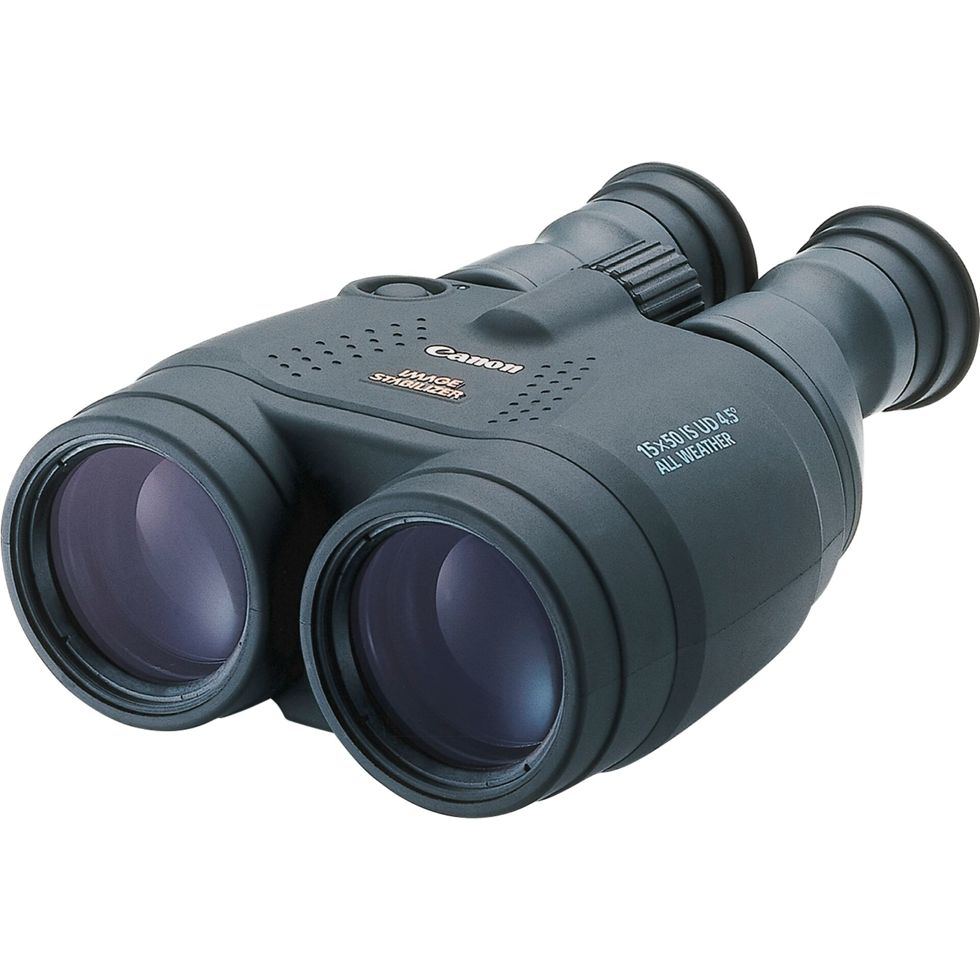 Canon 15x50 IS 4625A015 | 4625A015