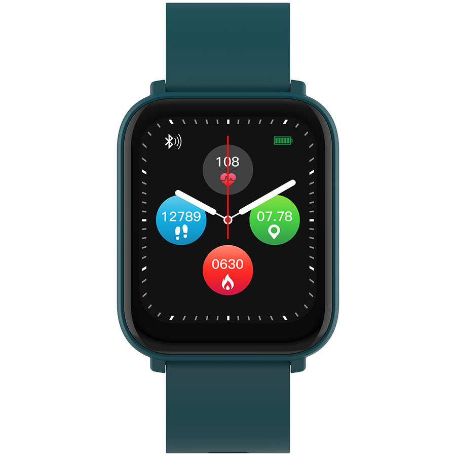 Smartwatch Canyon Easy SW-54 (CNS-SW54BG) |