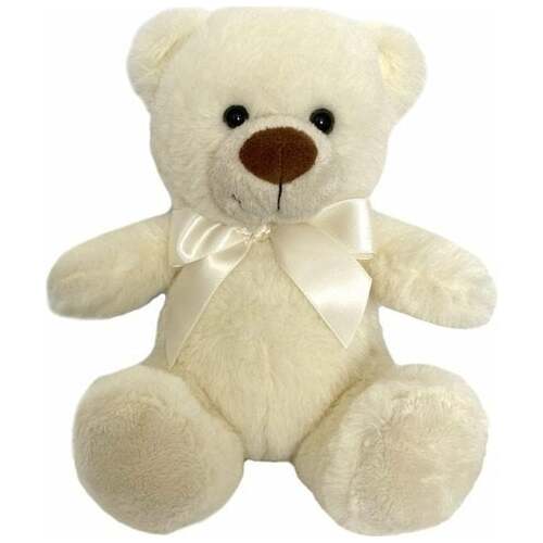 Canyon TOY PLUSH TEDDY BEAR 20CM