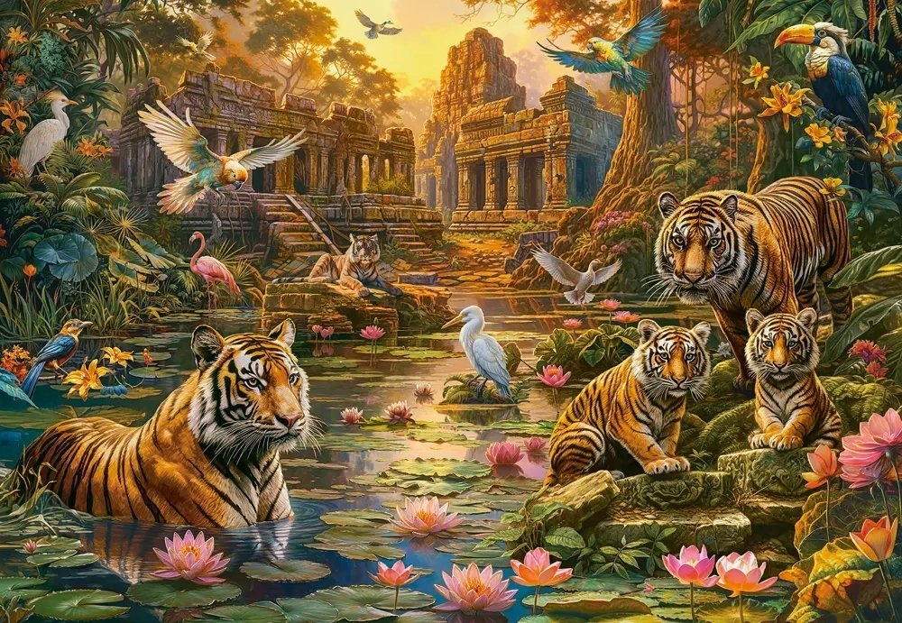 Castor Puzzle 1000  Tigers Paradise |