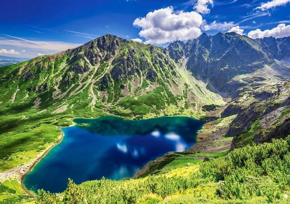 Castorland Puzzle 500 G±sienicowy Tatras CASTOR