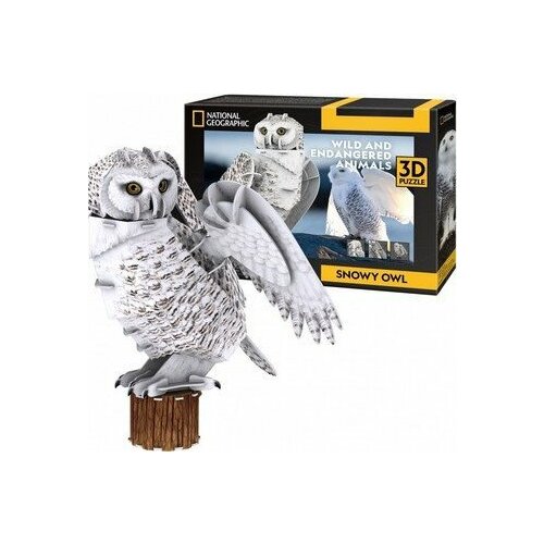 Cubicfun PUZZLE 3D PUCHA | 306-DS1079H