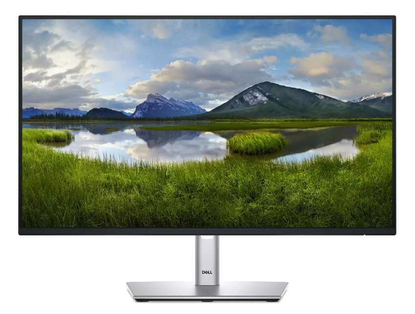 Monitor Dell Pro Plus P2425HE (210-BMJB)