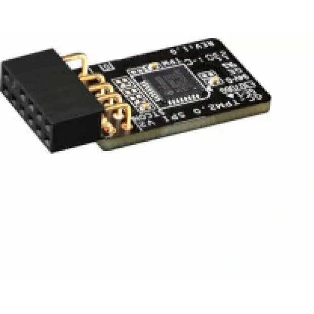 Dell   TPM 2.0 security module