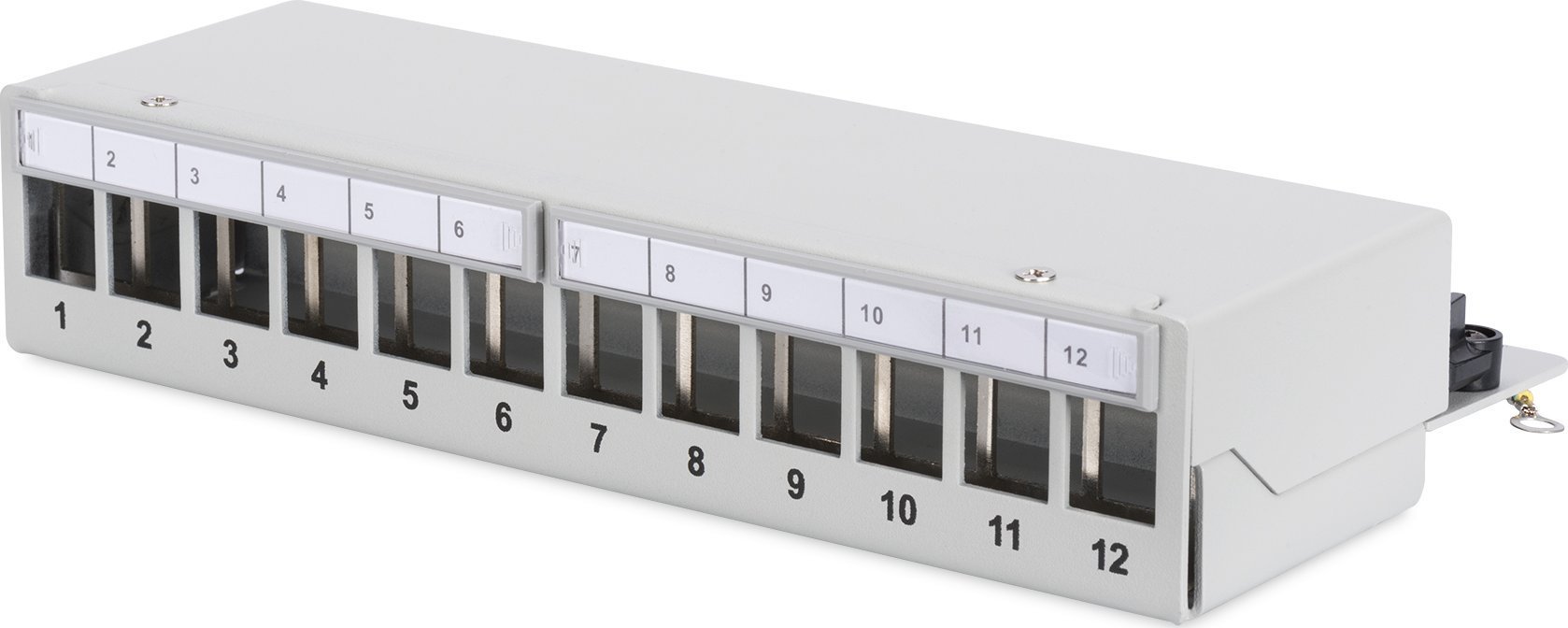 Digitus Desktop Patch Panel,12-Port |