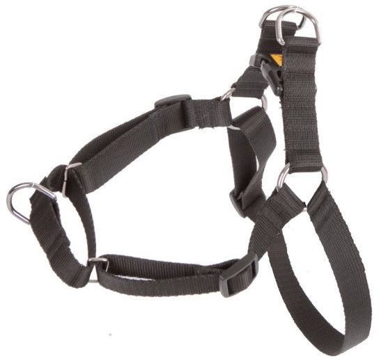 Dingo Szelki Easy Walkciągnących 61-90cm |