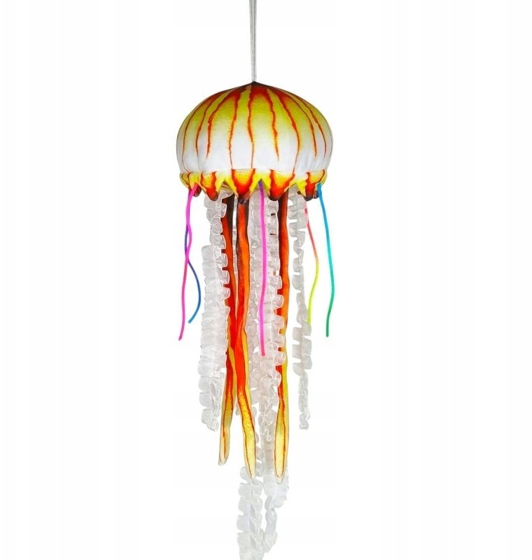 Dubi Meduza | 5905965334717 | 5905965334717