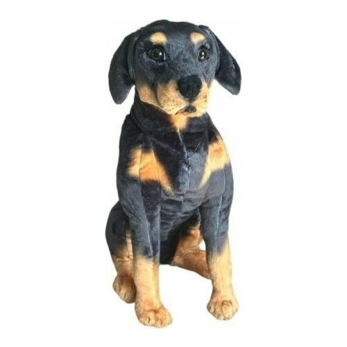 Dubi Rotweilleri  65cm | 5905965330221 |
