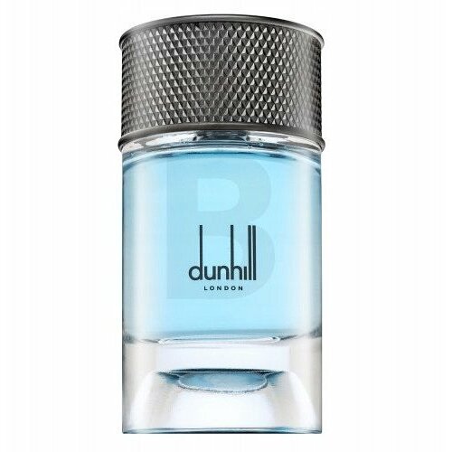 Dunhill Signature Collection Nordic Fougere Smaržas