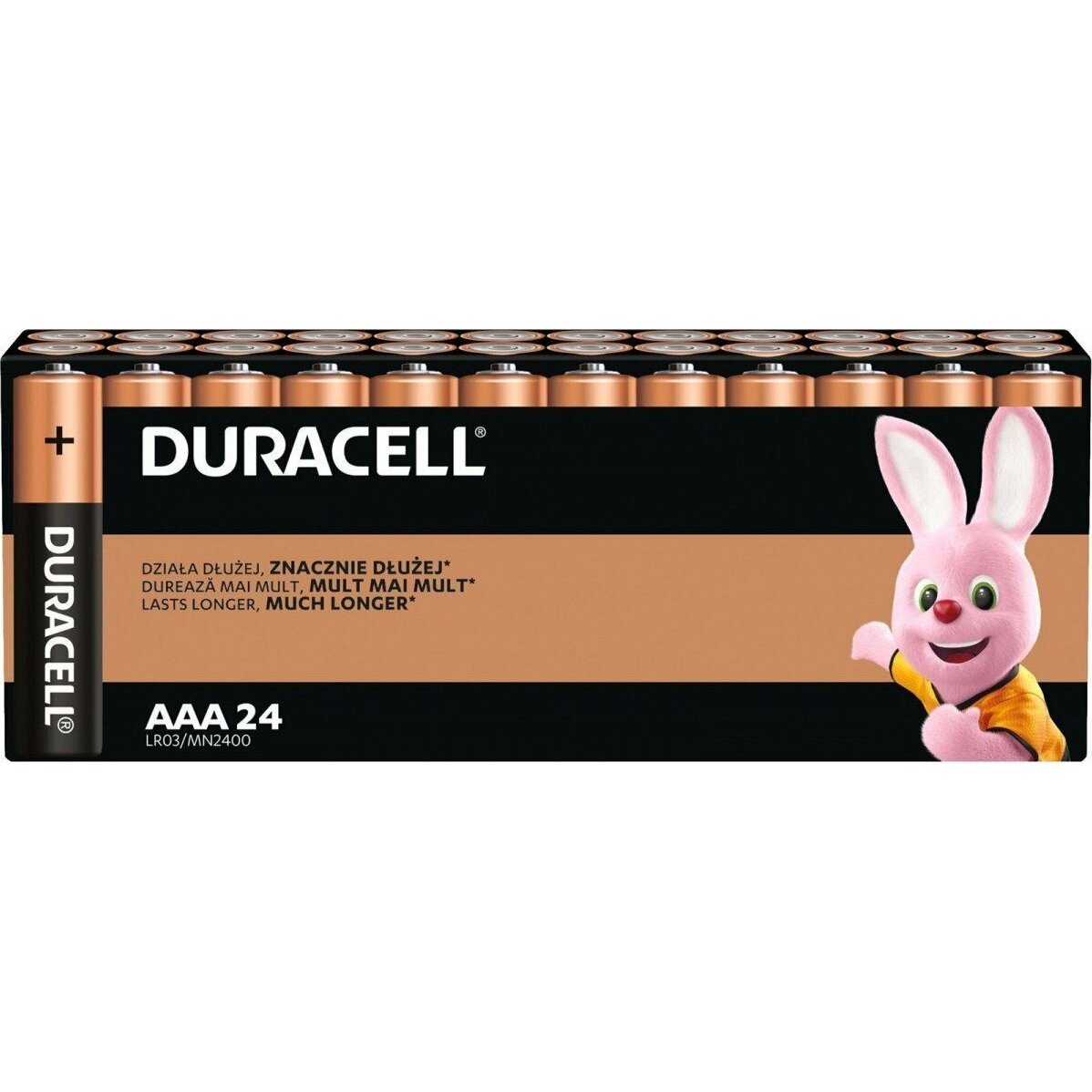 Duracell Batteries Basic AAA/LR3 Blister of