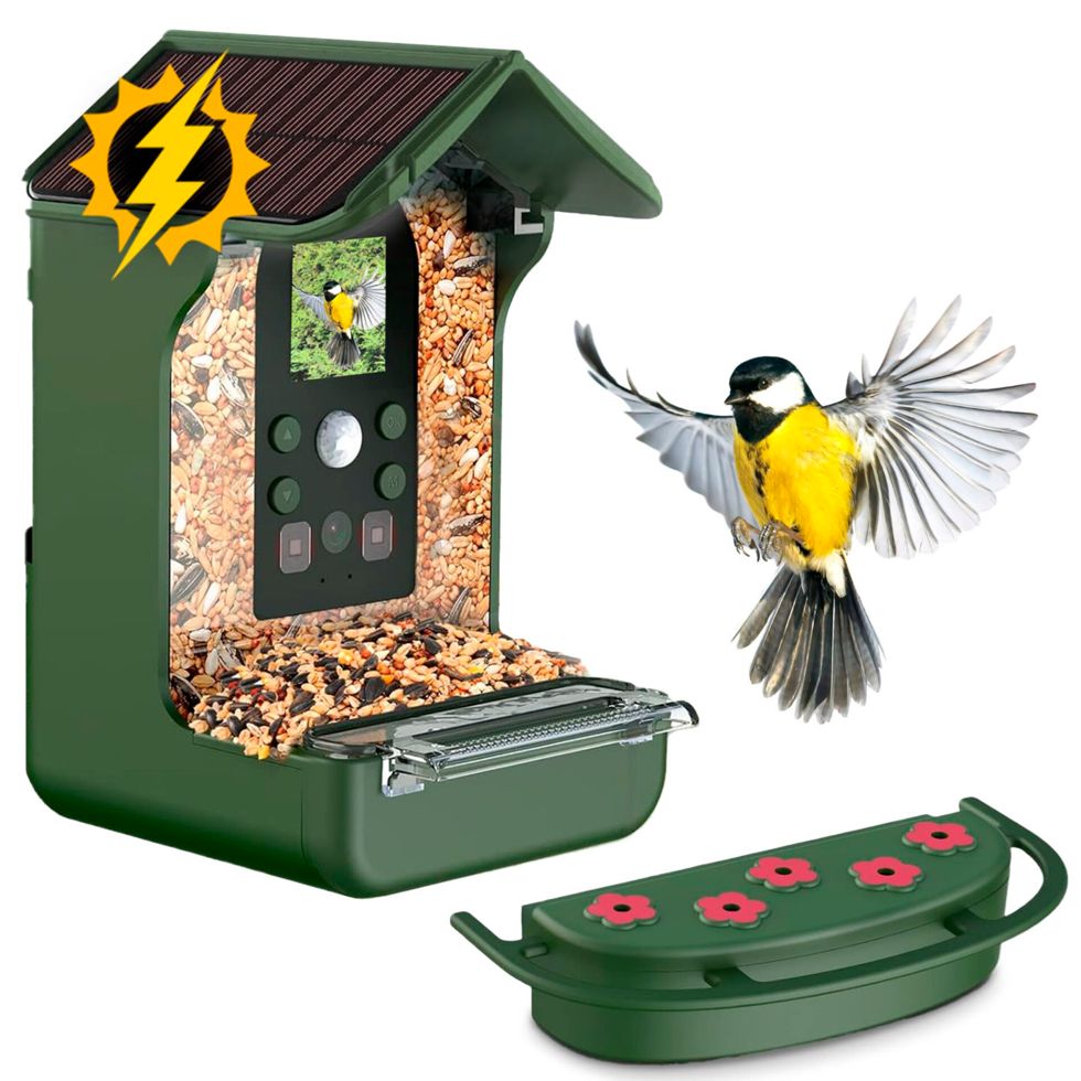 Easypix BirdyCam | 10123 | 4260041686533