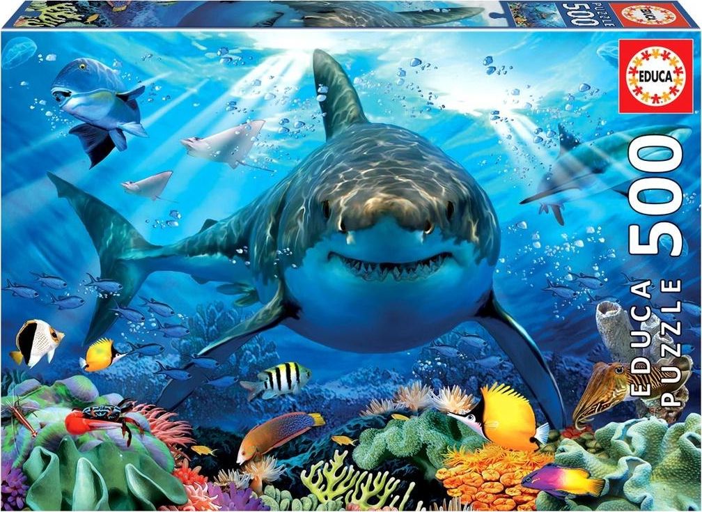 Educa Puzzle 500 G3 | 452692
