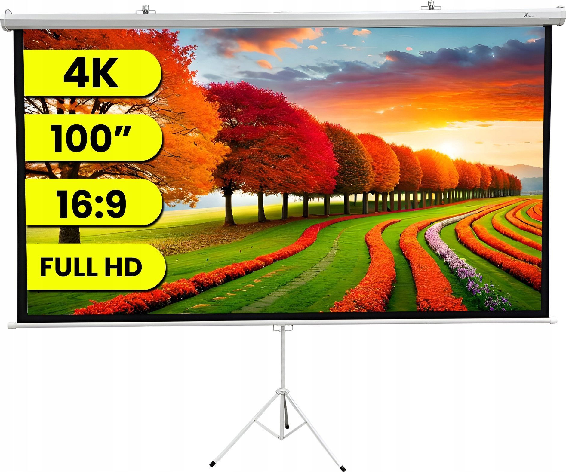Edo projektora ExtraLink Projection Screen |