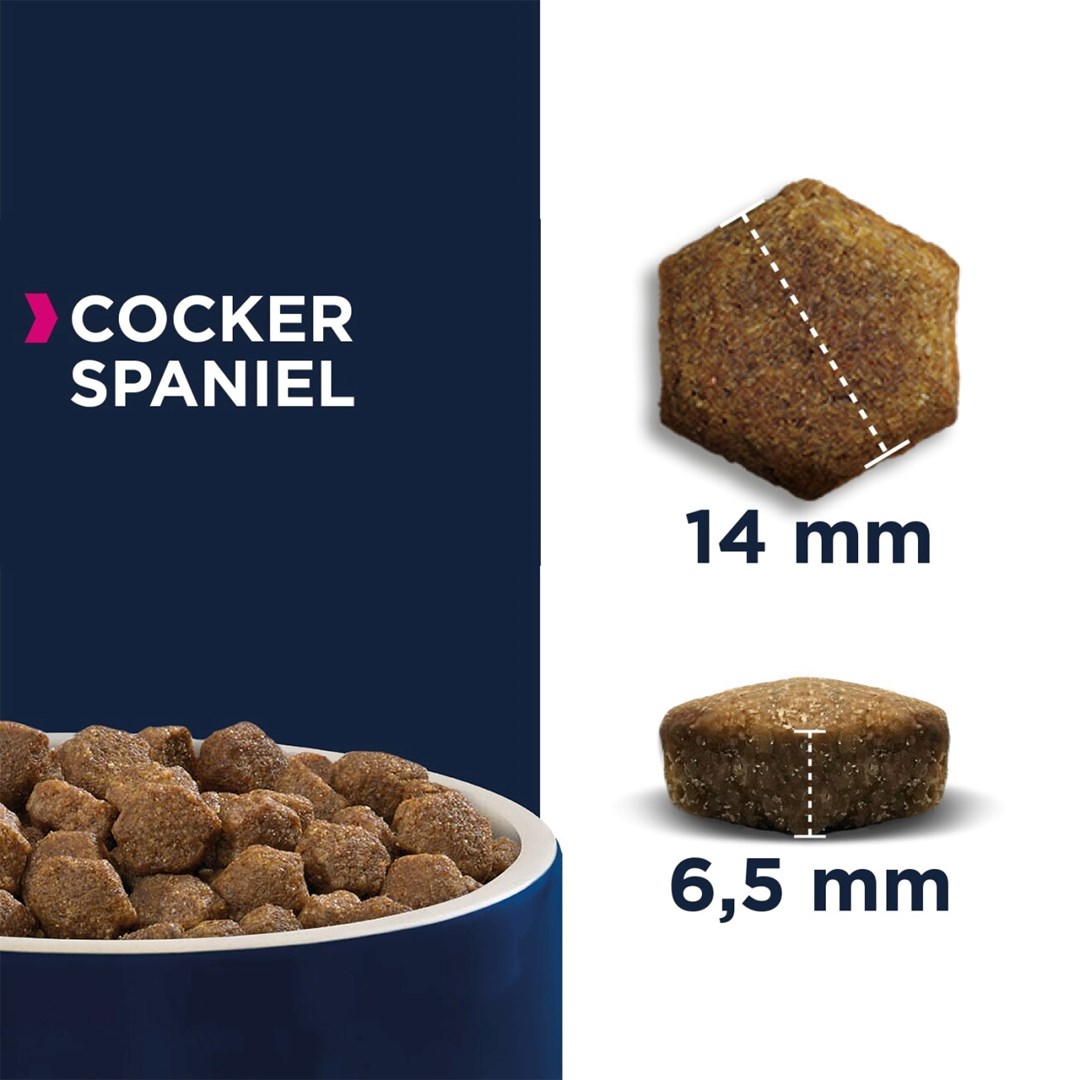 EUKANUBA Breed Specific Cocker  Adult -