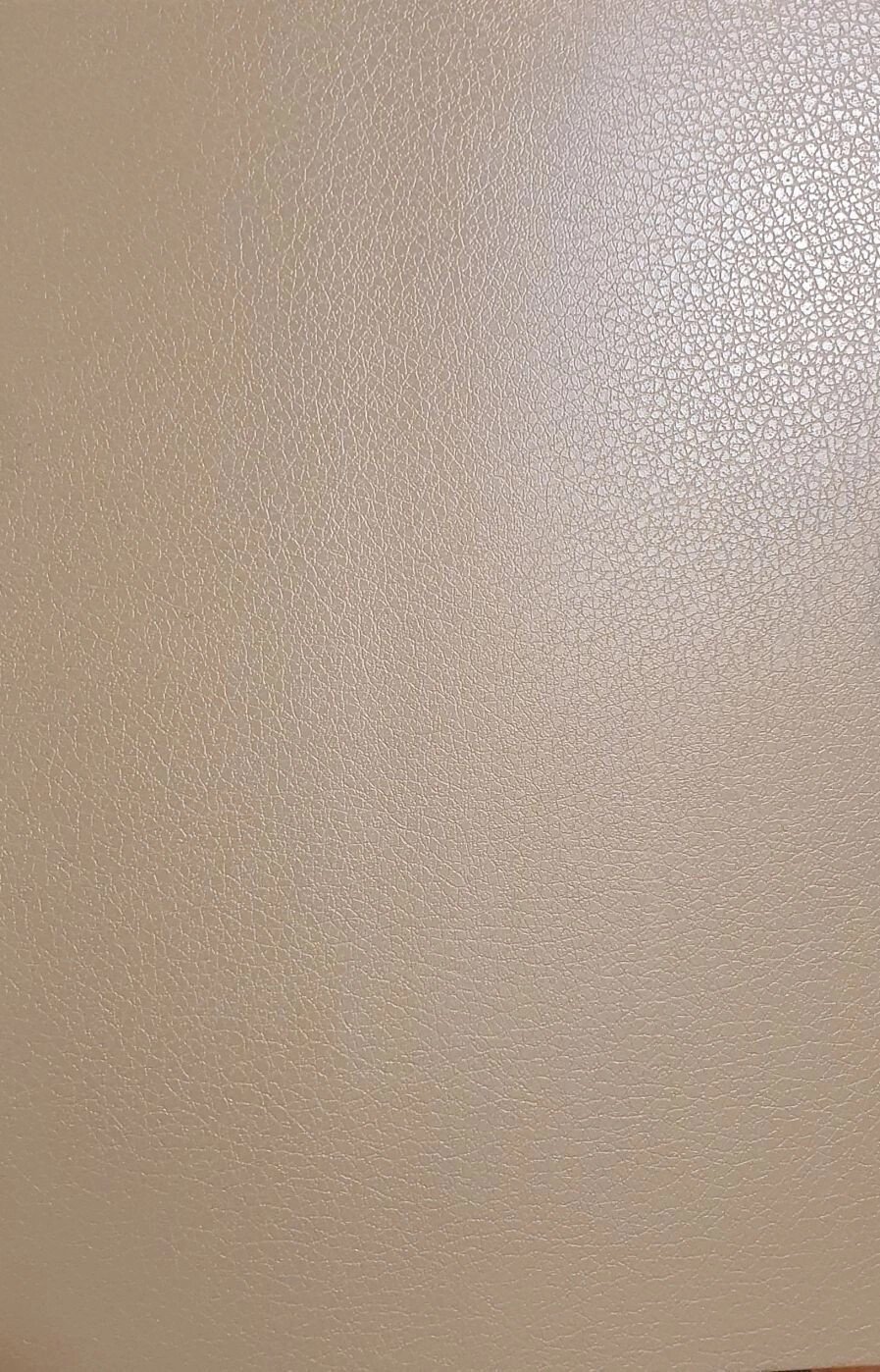 Evelatus Universal Leather Film for Screen