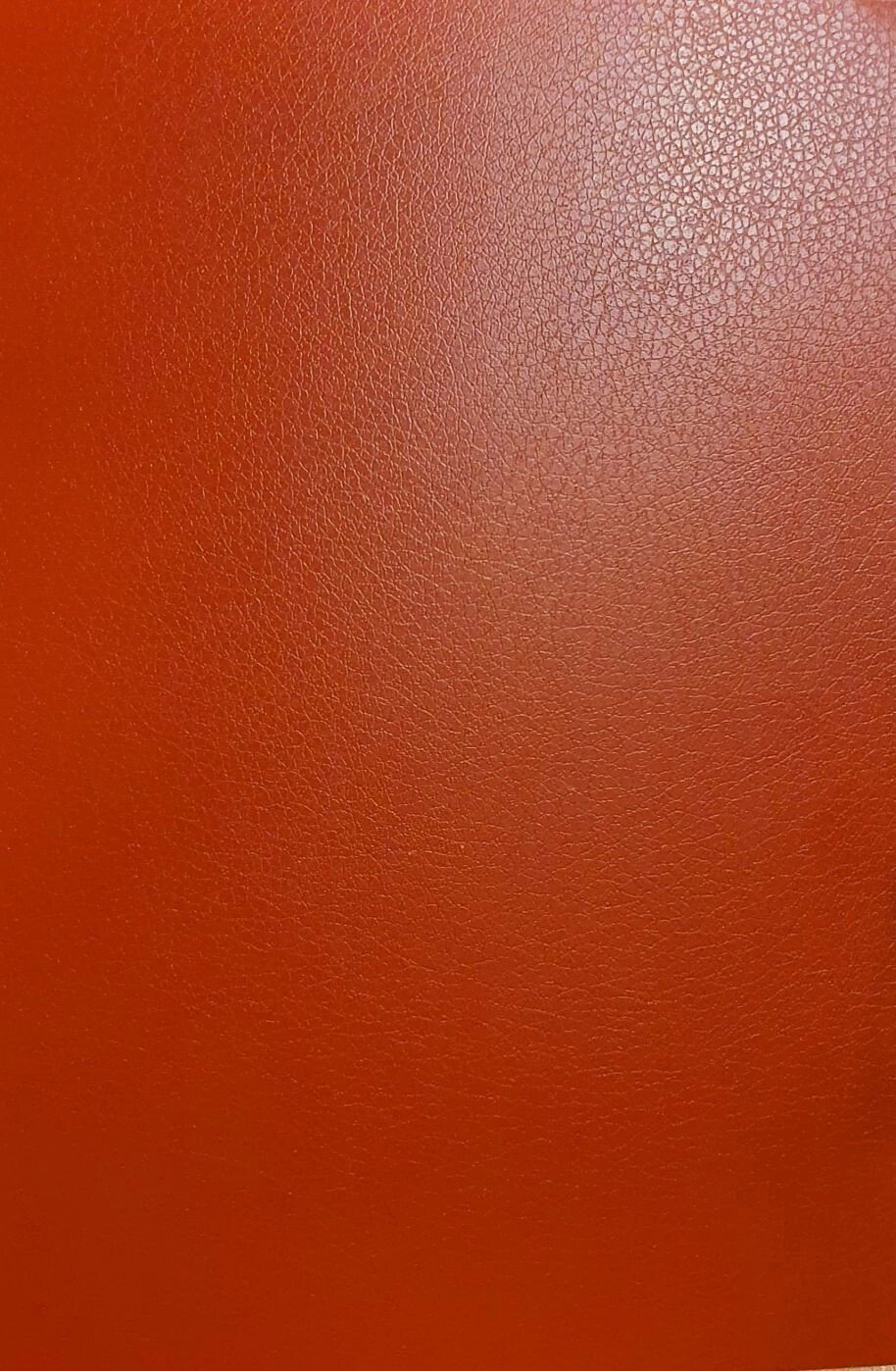 Evelatus   Universal Leather Film for Screen